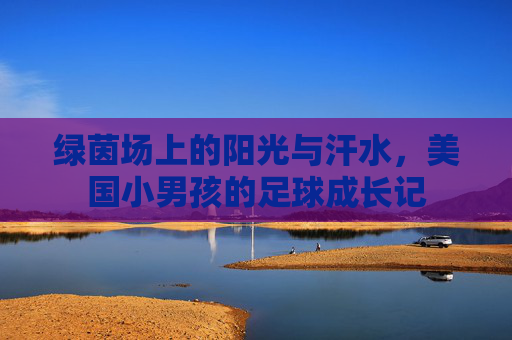 绿茵场上的阳光与汗水，美国小男孩的足球成长记