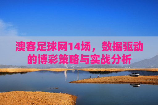 澳客足球网14场,数据驱动的博彩策略与实战分析