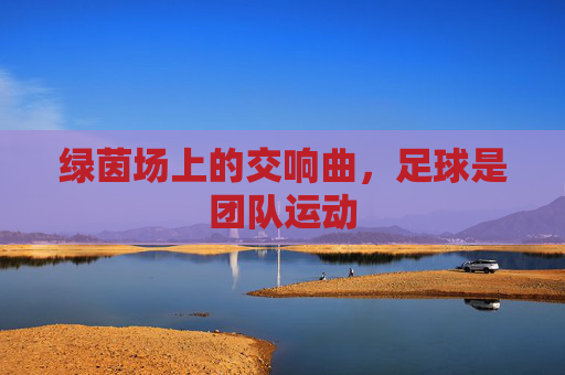 绿茵场上的交响曲,足球是团队运动