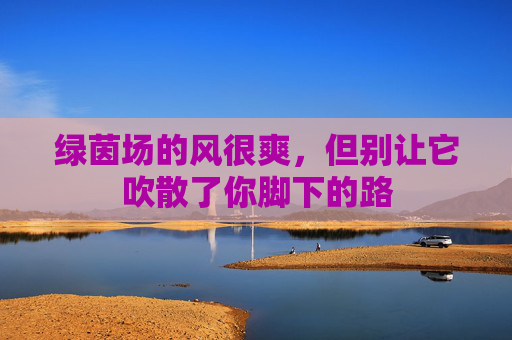 绿茵场的风很爽,但别让它吹散了你脚下的路