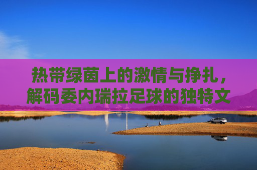 热带绿茵上的激情与挣扎,解码委内瑞拉足球的独特文化