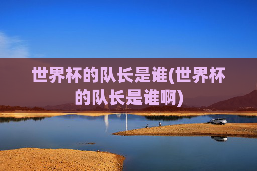 世界杯的队长是谁(世界杯的队长是谁啊)