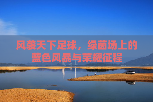 风袭天下足球,绿茵场上的蓝色风暴与荣耀征程