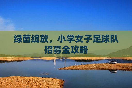 绿茵绽放,小学女子足球队招募全攻略