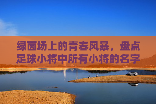 绿茵场上的青春风暴，盘点足球小将中所有小将的名字与传奇