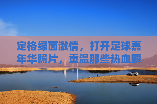 定格绿茵激情,打开足球嘉年华照片,重温那些热血瞬间