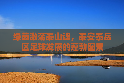 绿茵激荡泰山魂，泰安泰岳区足球发展的蓬勃图景