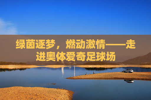 绿茵逐梦,燃动激情——走进奥体爱奇足球场