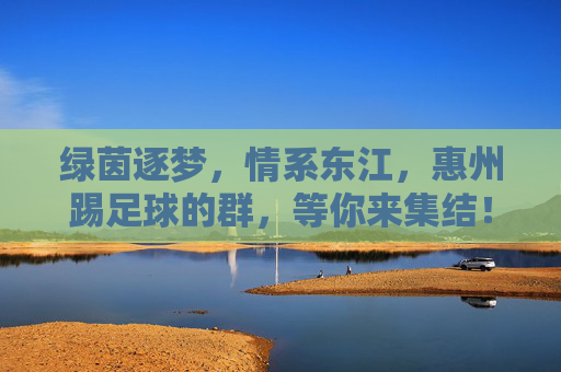 绿茵逐梦,情系东江,惠州踢足球的群,等你来集结!