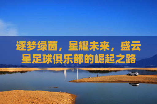 逐梦绿茵,星耀未来,盛云星足球俱乐部的崛起之路