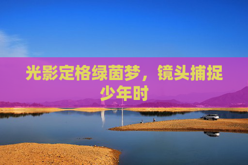 光影定格绿茵梦，镜头捕捉少年时