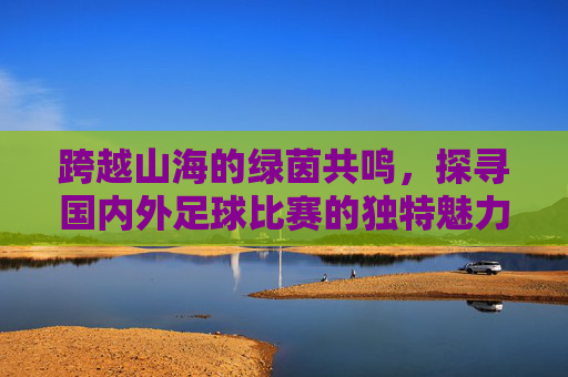 跨越山海的绿茵共鸣,探寻国内外足球比赛的独特魅力