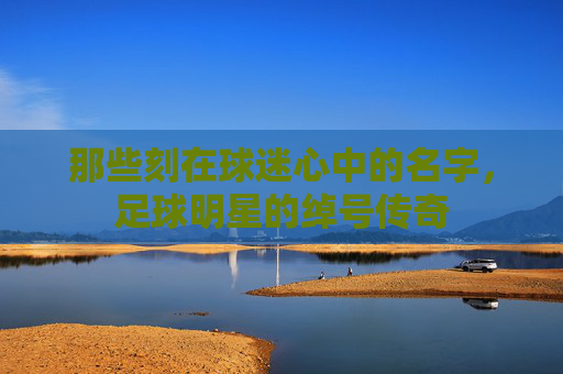 那些刻在球迷心中的名字，足球明星的绰号传奇