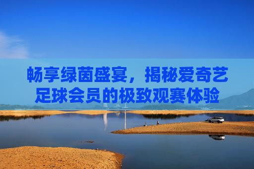 畅享绿茵盛宴，揭秘爱奇艺足球会员的极致观赛体验