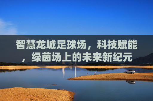 智慧龙城足球场,科技赋能,绿茵场上的未来新纪元