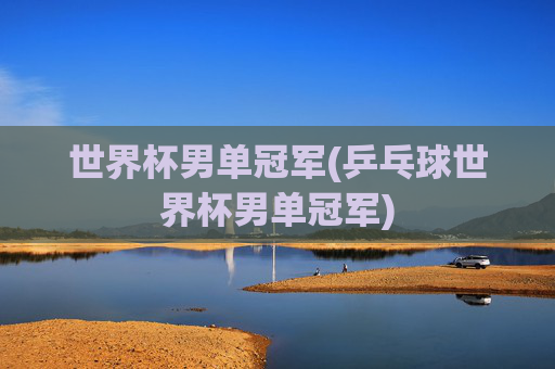 世界杯男单冠军(乒乓球世界杯男单冠军)