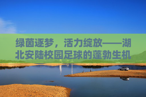 绿茵逐梦,活力绽放——湖北安陆校园足球的蓬勃生机