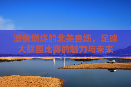 激情燃烧的北美赛场,足球大联盟比赛的魅力与未来