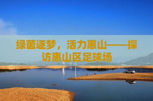 绿茵逐梦,活力惠山——探访惠山区足球场