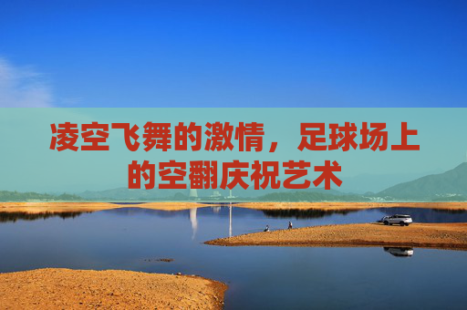 凌空飞舞的激情,足球场上的空翻庆祝艺术