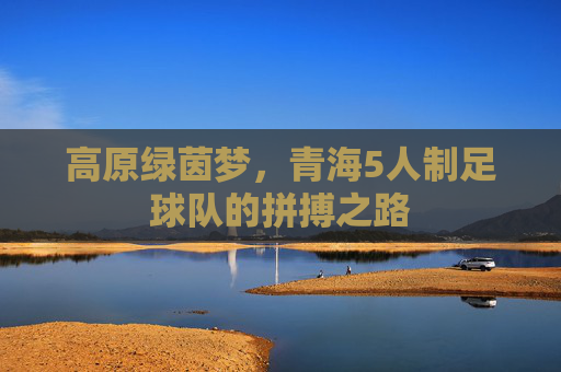 高原绿茵梦,青海5人制足球队的拼搏之路