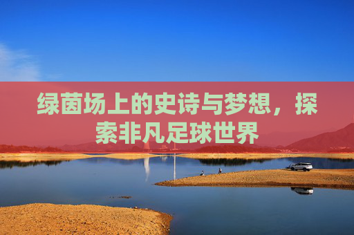 绿茵场上的史诗与梦想,探索非凡足球世界