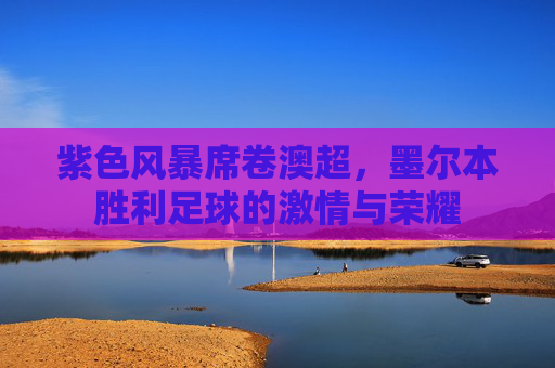 紫色风暴席卷澳超,墨尔本胜利足球的激情与荣耀
