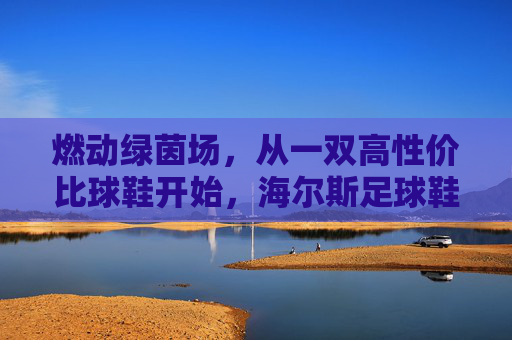 燃动绿茵场，从一双高性价比球鞋开始，海尔斯足球鞋京东选购指南