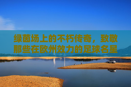 绿茵场上的不朽传奇,致敬那些在欧州效力的足球名星