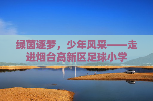 绿茵逐梦，少年风采——走进烟台高新区足球小学
