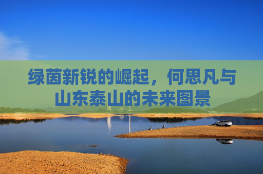 绿茵新锐的崛起，何思凡与山东泰山的未来图景