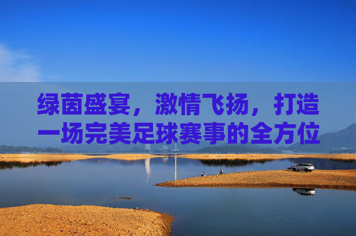 绿茵盛宴，激情飞扬，打造一场完美足球赛事的全方位策划指南