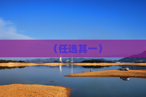 （任选其一）