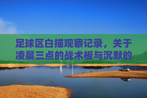 足球区白描观察记录，关于凌晨三点的战术板与沉默的信号灯