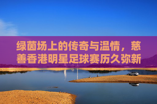 绿茵场上的传奇与温情,慈善香港明星足球赛历久弥新