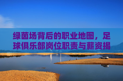 绿茵场背后的职业地图，足球俱乐部岗位职责与薪资揭秘