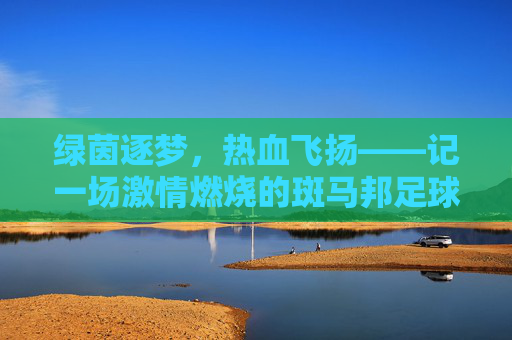 绿茵逐梦,热血飞扬——记一场激情燃烧的斑马邦足球赛