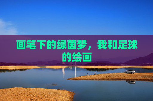 画笔下的绿茵梦,我和足球的绘画