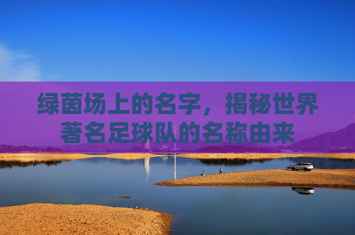 绿茵场上的名字,揭秘世界著名足球队的名称由来