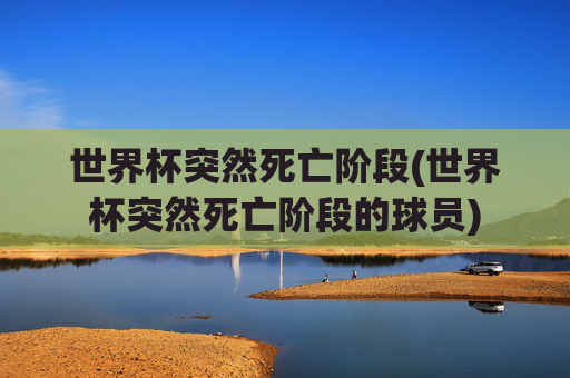 世界杯突然死亡阶段(世界杯突然死亡阶段的球员)