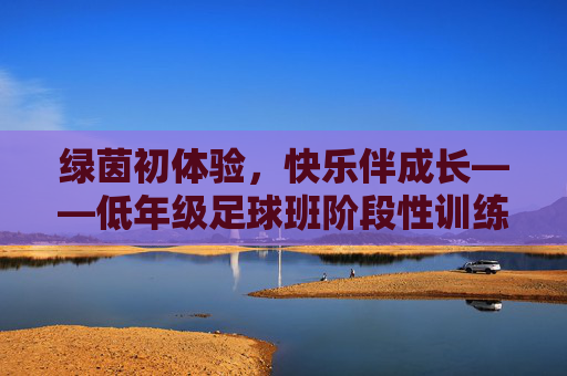 绿茵初体验，快乐伴成长——低年级足球班阶段性训练总结