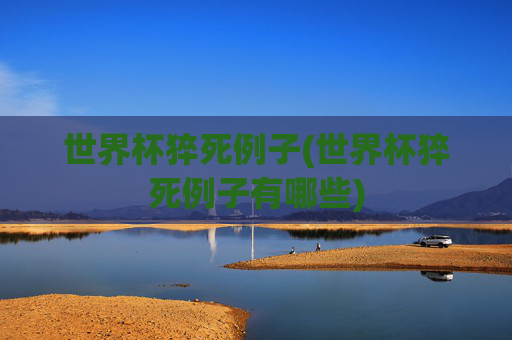 世界杯猝死例子(世界杯猝死例子有哪些)
