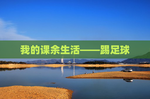 我的课余生活——踢足球