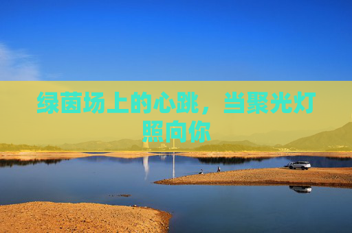 绿茵场上的心跳,当聚光灯照向你