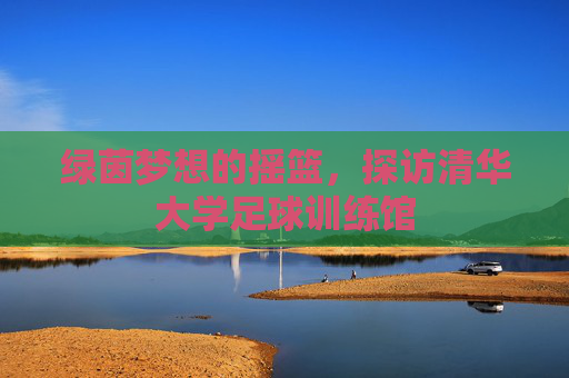 绿茵梦想的摇篮,探访清华大学足球训练馆