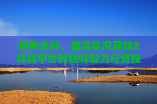 经典永存,重温实况足球8对战平台的独特魅力与竞技乐趣