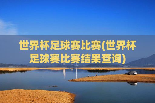 世界杯足球赛比赛(世界杯足球赛比赛结果查询)