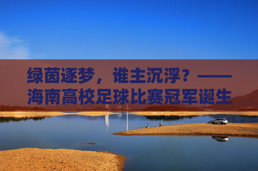 绿茵逐梦，谁主沉浮？——海南高校足球比赛冠军诞生记