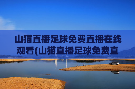 山猫直播足球免费直播在线观看(山猫直播足球免费直播在线观看里斯本vs琴斯托)