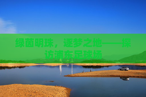 绿茵明珠,逐梦之地——探访浦东足球场